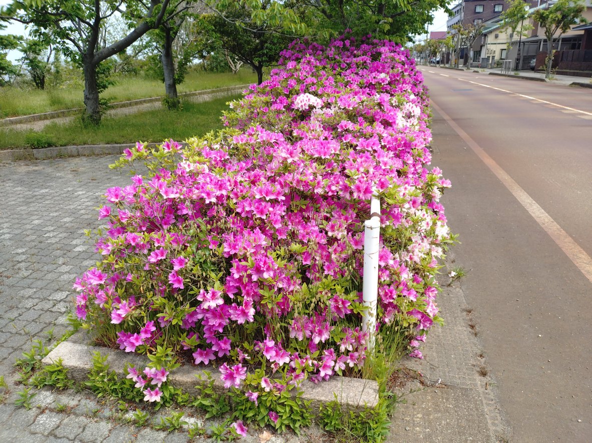 当店オリジナル医療用ウィッグのメンテナンス